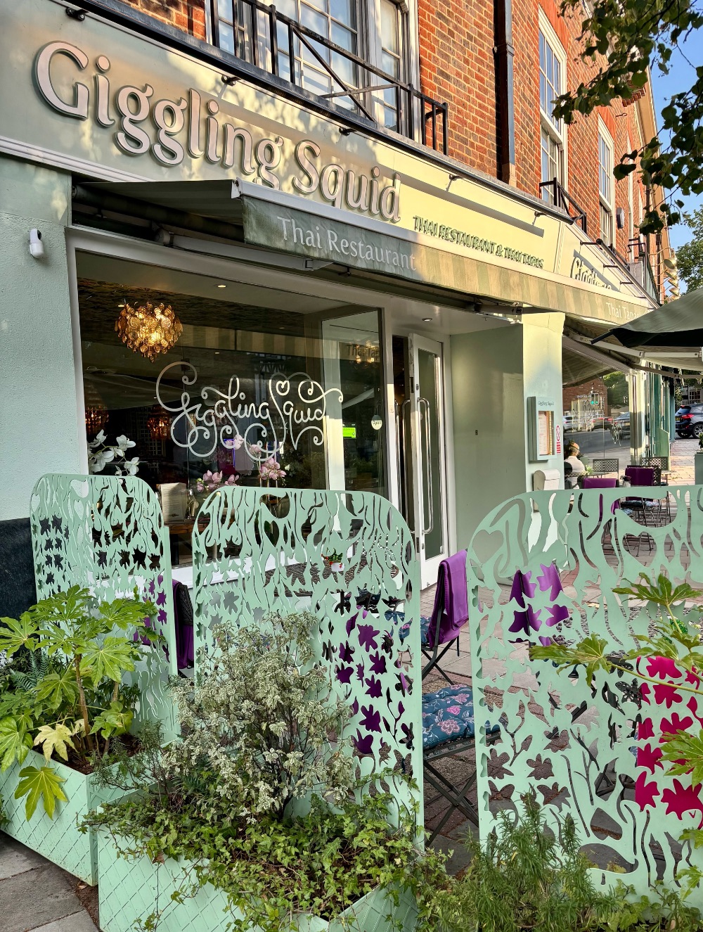 giggling squid, Esher