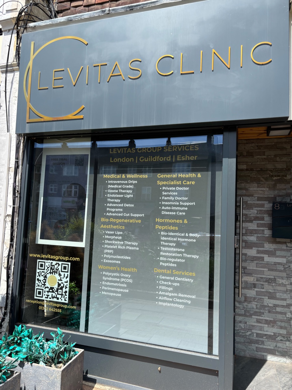 levitas clinic, Esher
