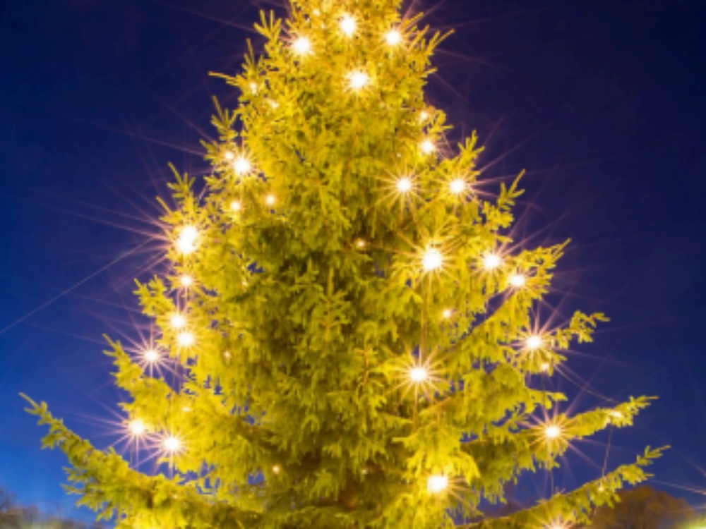 Christmas in Surrey, Sandown Park